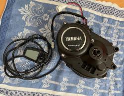 IMG_2476.jpeg