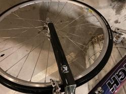 IMG_2485.jpeg