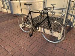 IMG_2603.jpeg