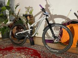 IMG_2871.jpeg