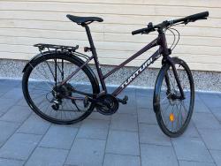 IMG_2915.jpeg