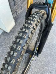IMG_2966.jpeg