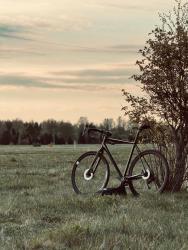 IMG_2967.jpeg