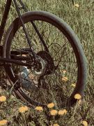 IMG_3160.jpeg