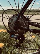 IMG_3163.jpeg