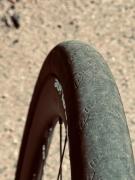 IMG_3166.jpeg