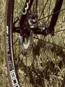 IMG_3167.jpeg