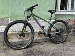 IMG_3257.JPEG