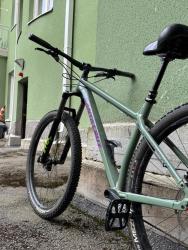 IMG_3258.JPEG
