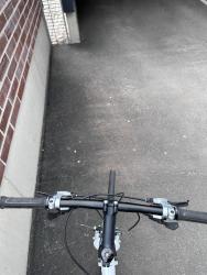 IMG_3347.jpeg