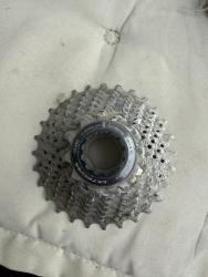 IMG_3407.jpeg
