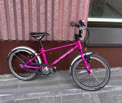 IMG_3547.jpeg