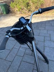 IMG_4029.jpeg
