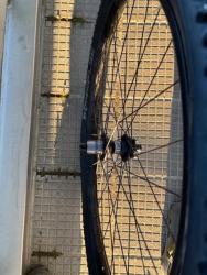 IMG_4049.jpeg
