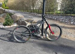 IMG_4100.jpeg