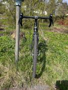 IMG_4932.jpeg