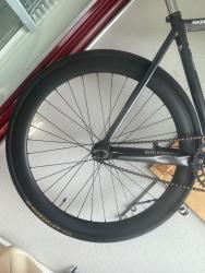 IMG_4989.jpeg