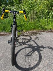 IMG_5206.jpeg