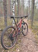 IMG_5392.jpeg