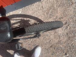 IMG_5878.jpeg
