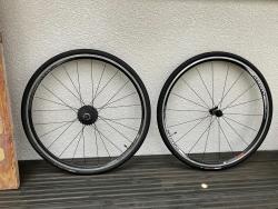 IMG_6068.jpeg
