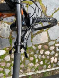 IMG_6179.jpeg