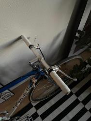 IMG_6391.jpeg