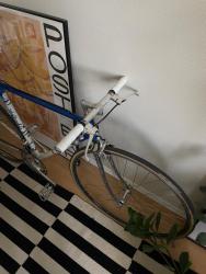 IMG_6394.jpeg