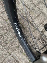 IMG_6521.jpeg