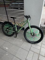 IMG_6525.jpeg