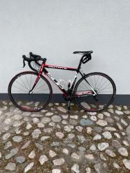IMG_6527.jpeg