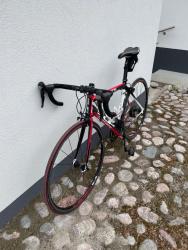 IMG_6529.jpeg