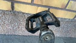 IMG_6705.jpeg