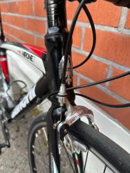 IMG_7217.jpeg