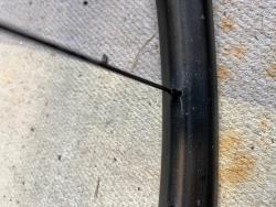 IMG_7267.jpeg