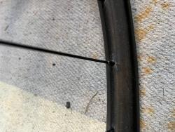 IMG_7268.jpeg