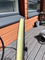IMG_7273.jpeg
