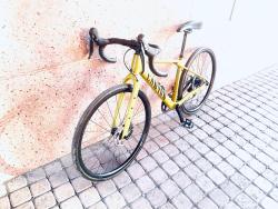IMG_7565.jpeg