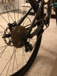IMG_7601.jpeg