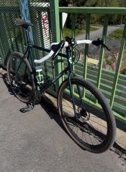 IMG_7802.jpeg