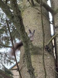 IMG_7852.jpeg