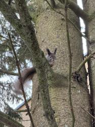 IMG_7853.jpeg