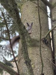IMG_7854.jpeg