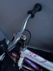 IMG_8358.jpeg