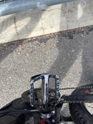 IMG_8812.jpeg