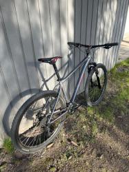 IMG_8825.jpeg