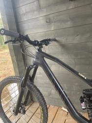 IMG_8932.jpeg