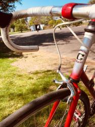 IMG_9014.jpeg