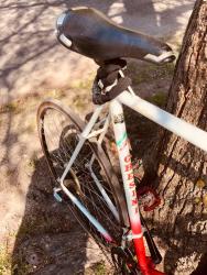 IMG_9015.jpeg