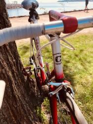 IMG_9023.jpeg